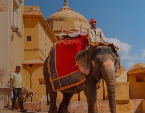 3 Days Rajasthan Tours