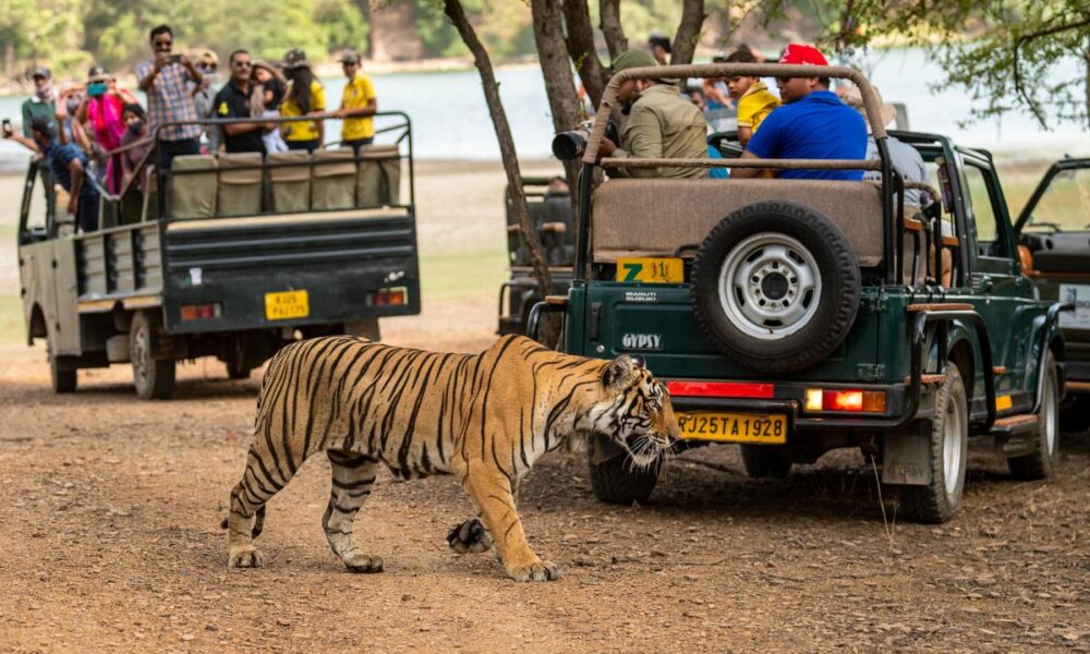 Ranthambhore