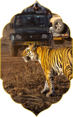 Ranthambhore